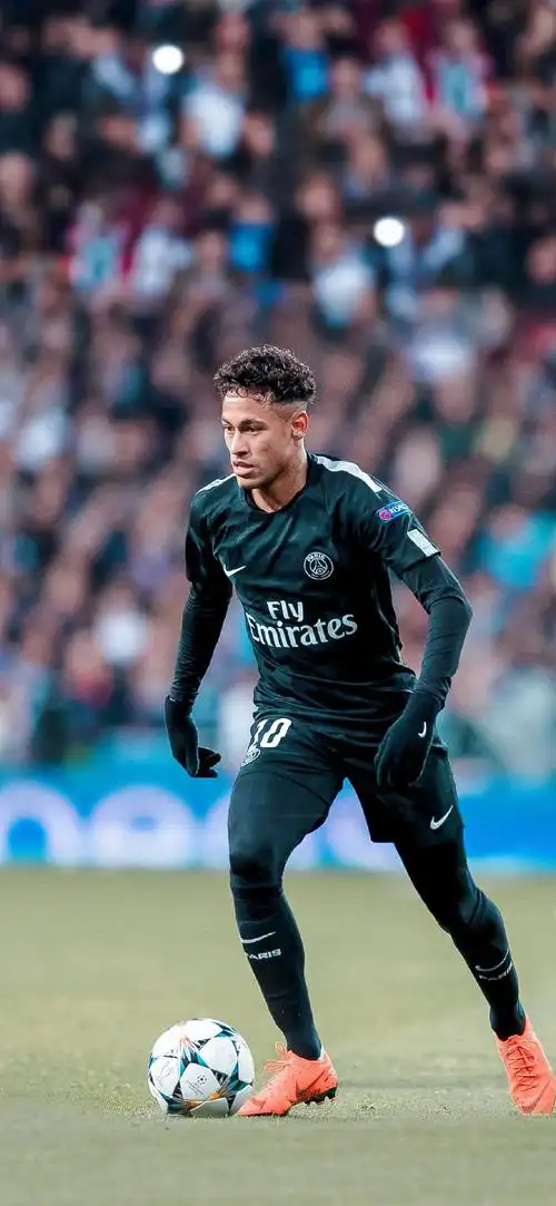 布莱德索的 布莱德索的